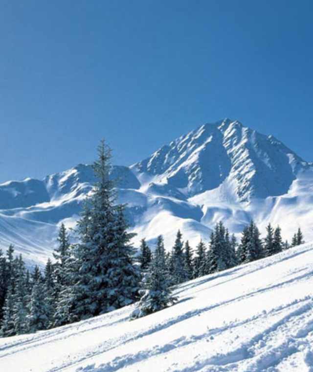 Gipfelpanorama Stubaier Alpen