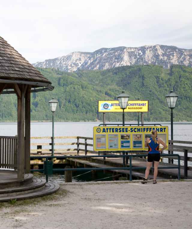 Blick auf den Attersee