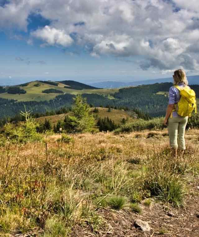 Blick zurück auf die Almen