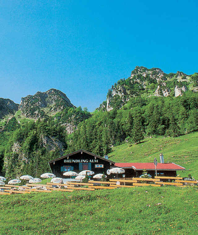 Reit im Winkl Grenzlandloipe im Sommer