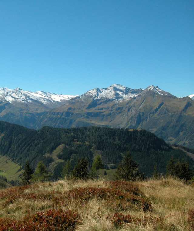 Aussicht Rettenegghöhe
