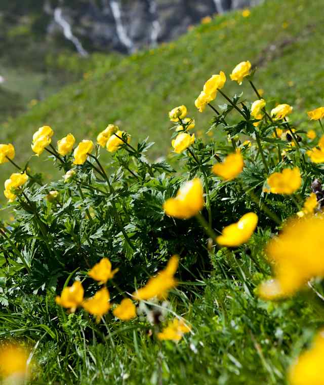 Im Riedingtal
