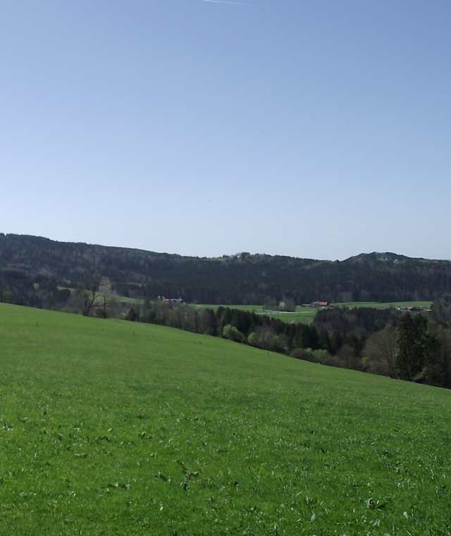 DSCF2534