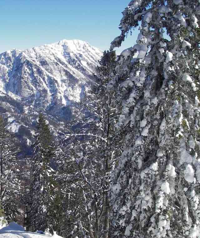Beim Aufstieg: Blick zum Dürrenstein