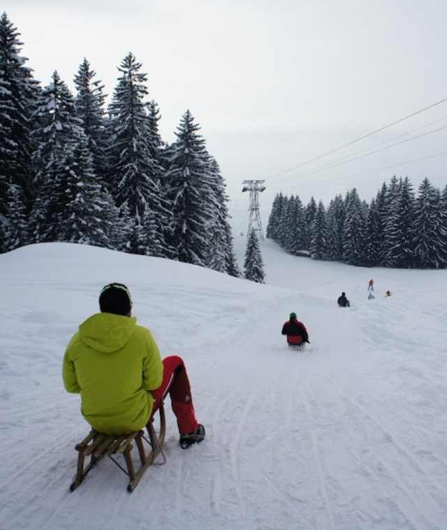 Rodelspaß von der Rinner Alm