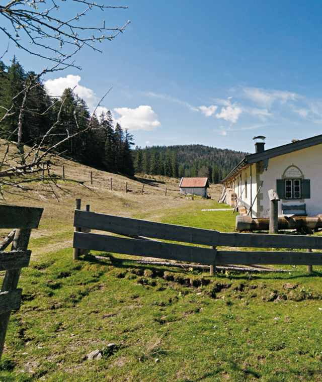 Die idyllische Luitpolder Alm.