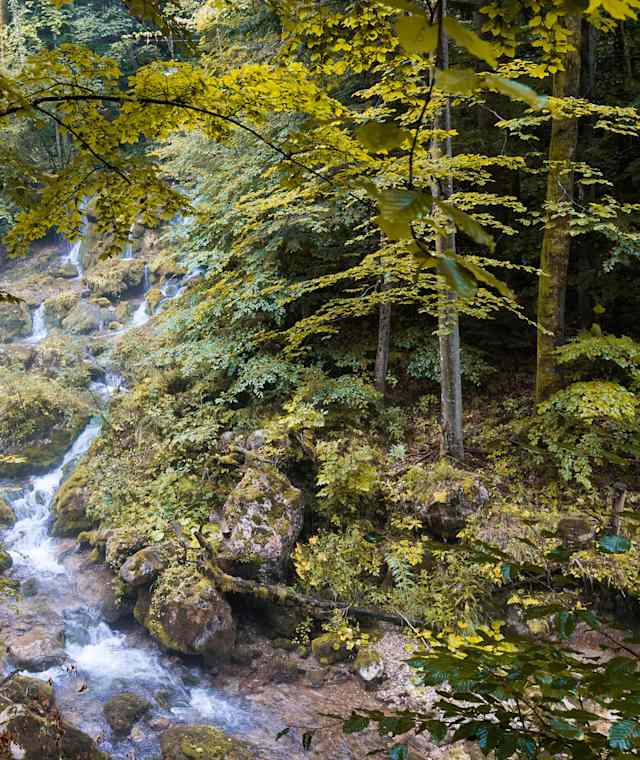 Bärenschützklamm