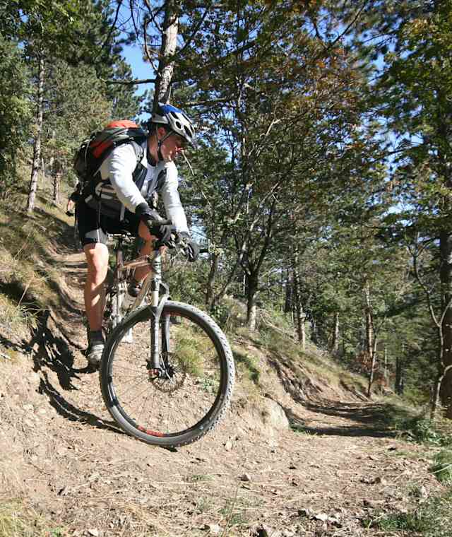 Roatbrunn-Trail 