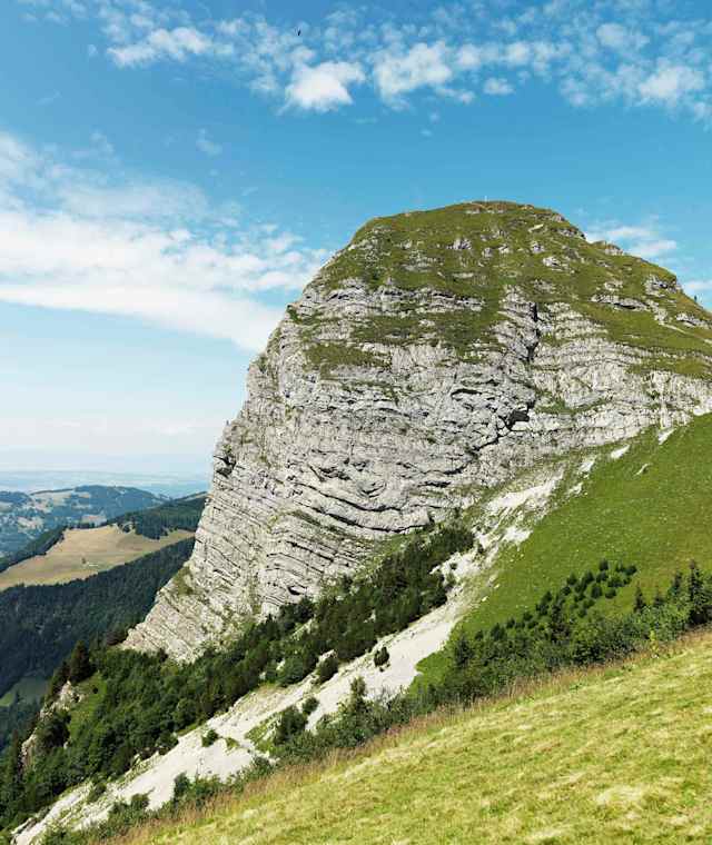 Dent De Jaman