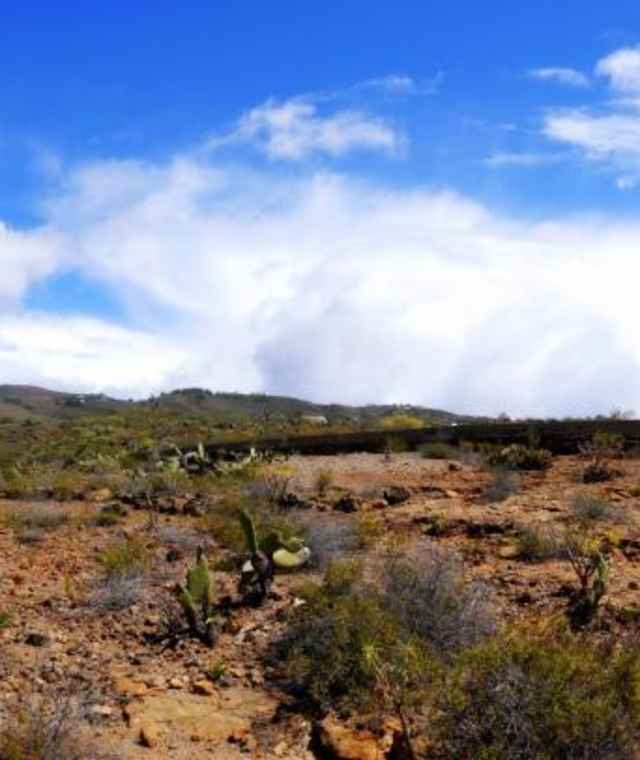Blick auf den Roque del Conde