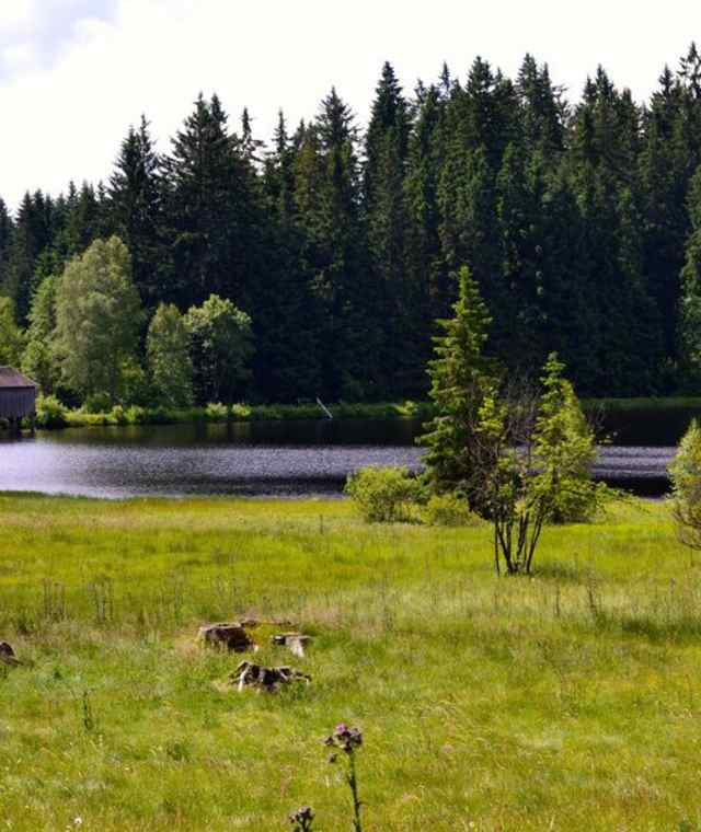 Seeblick