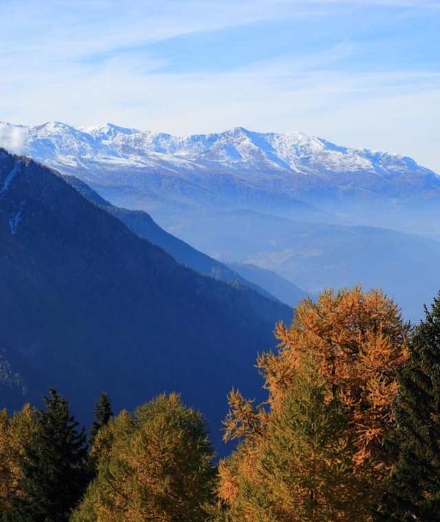 Rosswald - Fullohorn