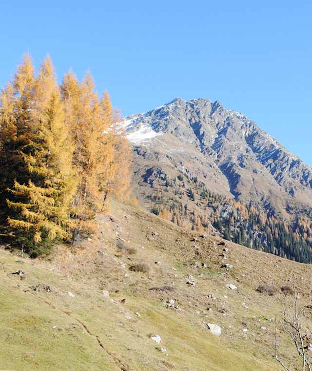 Ausblick auf den einen oder anderen Gipfel