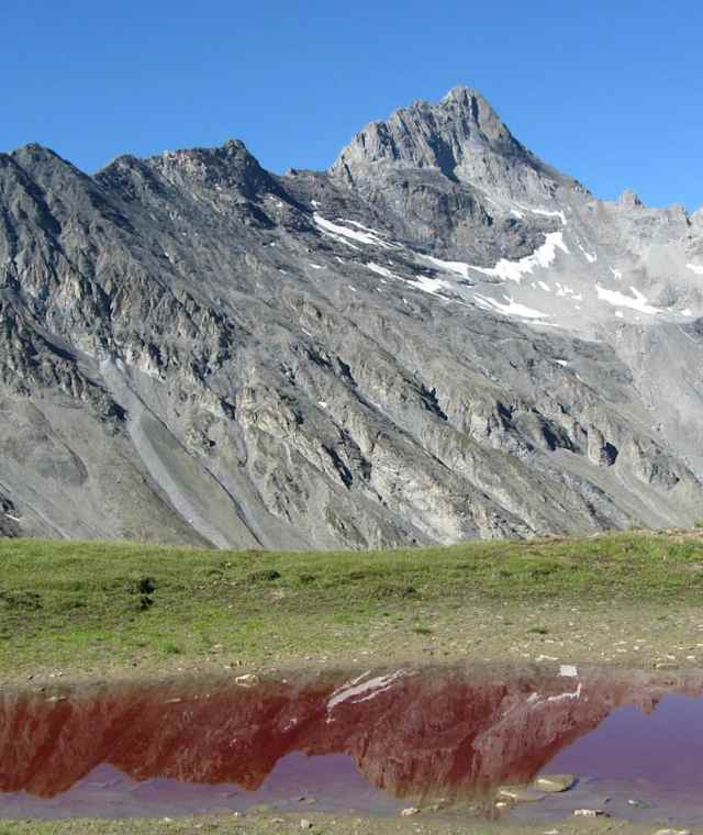 Rotes Seeli mit Stammerspitz
