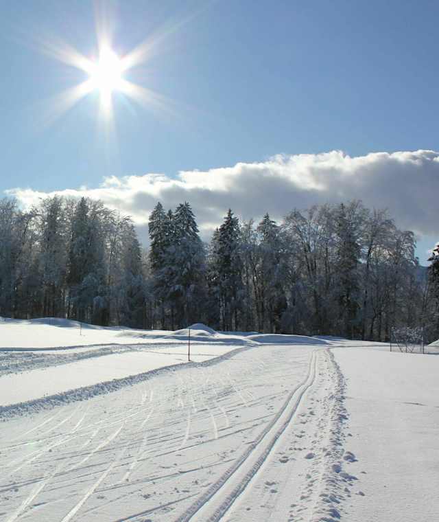 Langlauf in Siegsdorf