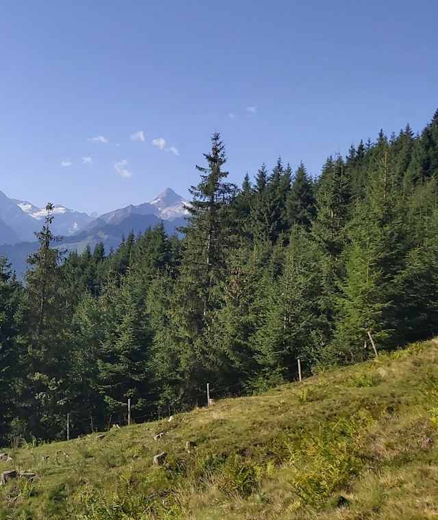 Die Ruhe und die Aussicht genießen.
