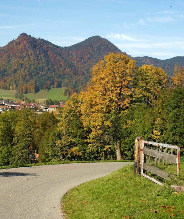 Weg zur Brandler Alm