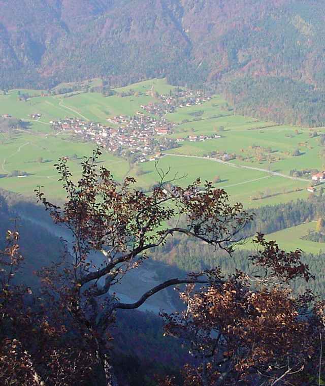 blick-gscheuerer-01