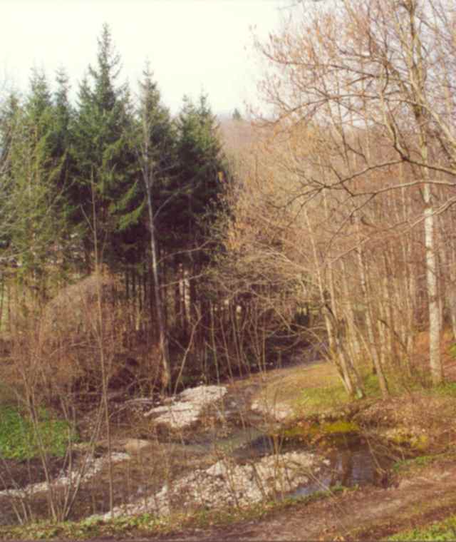 Wanderweg Hofgraben