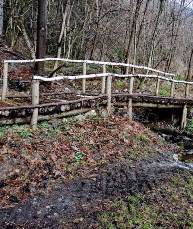 Brücke in der Rienzschlucht