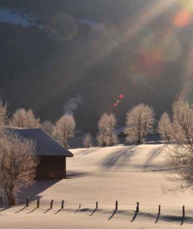 Talboden Winter