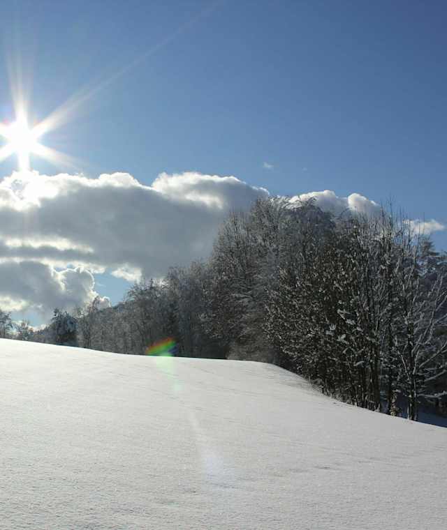 Siegsdorf im Winter 