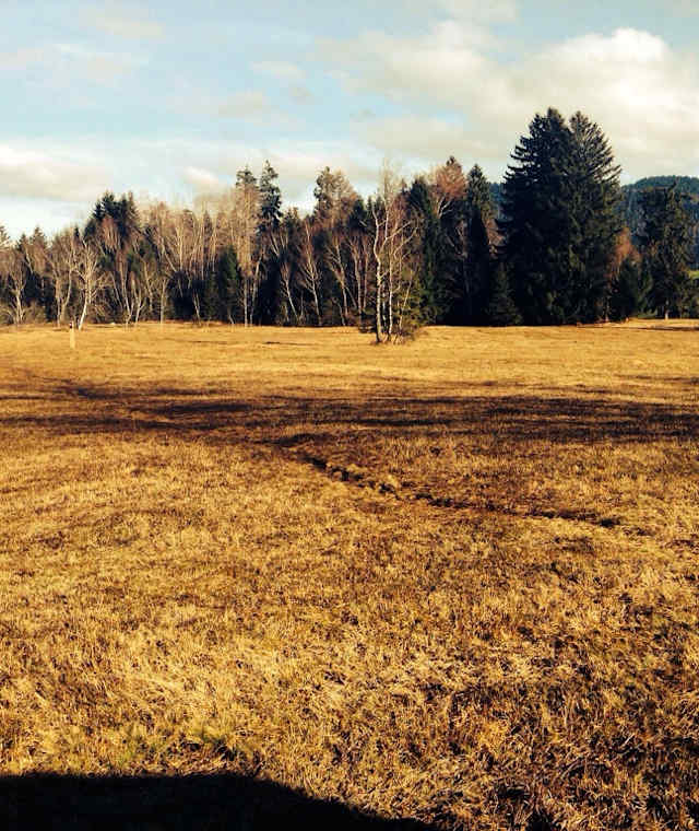 Moore Krumbach im Herbst