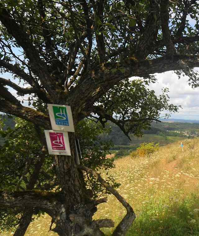 Aussicht ins Dreiländereck mit Beschilderung