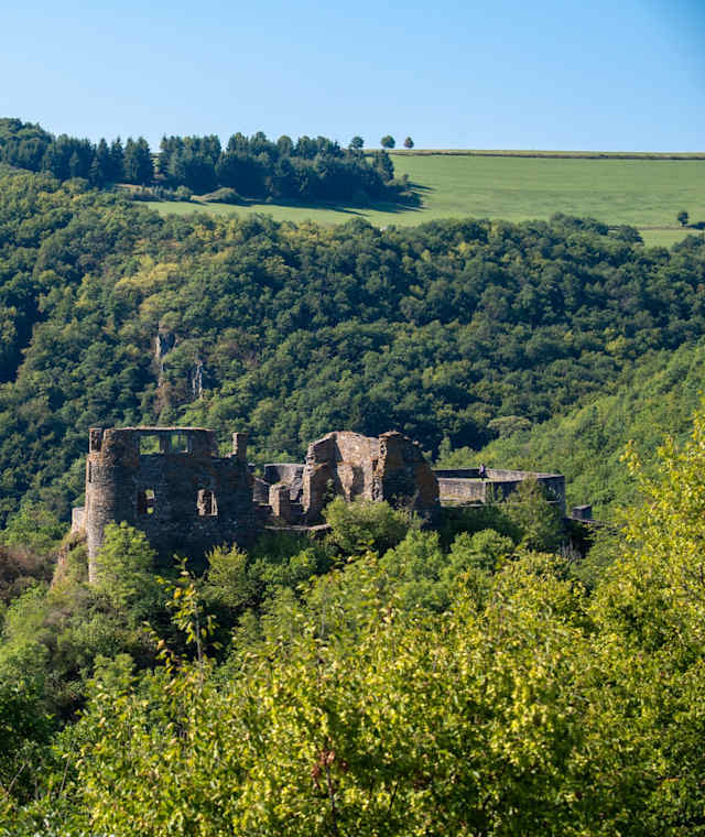 Die mittelalterliche Schmidtburg