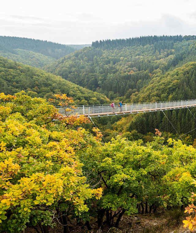 Die Hängeseilbrücke Geierlay