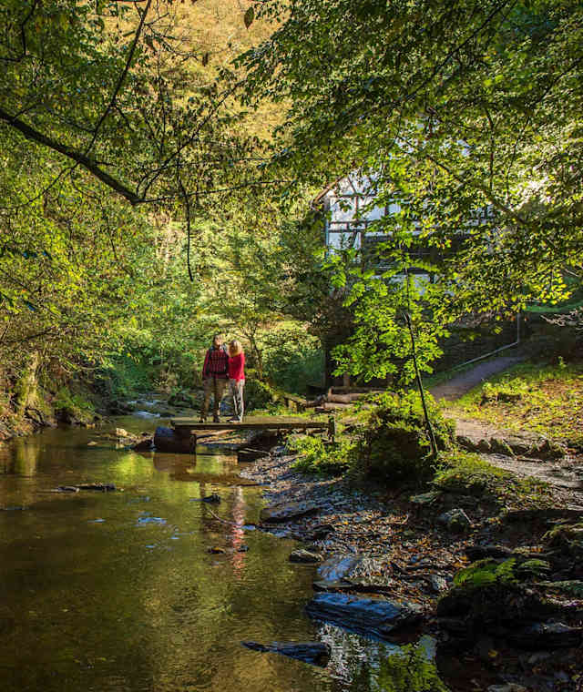 Idyllischer Bachlauf