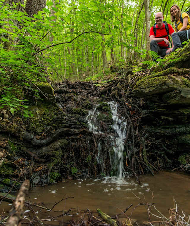 Waldabschnitt auf der 22. Etappe