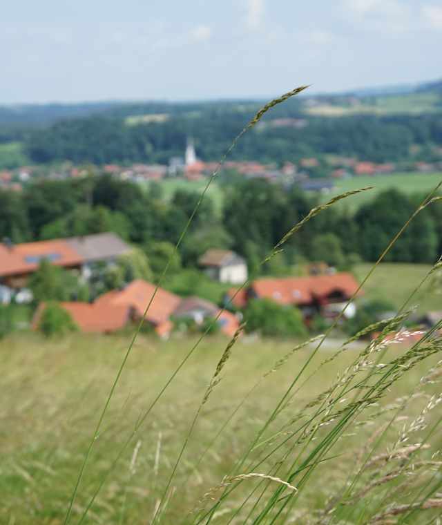 Blick auf Frasdorf