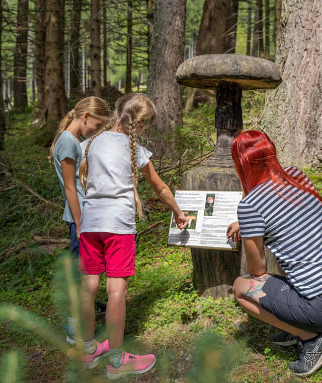 Kinder am Pilzlehrpfad Weißpriach