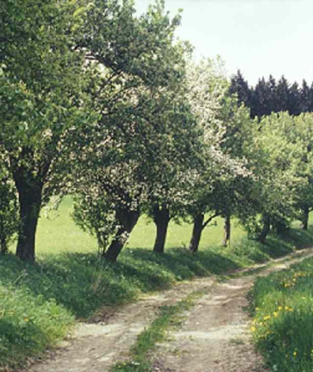 Entlang der alten Salzstraße