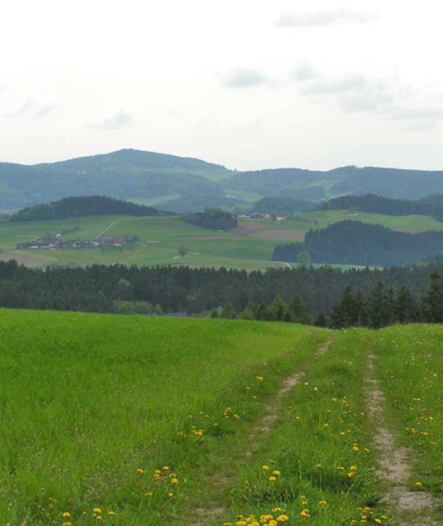 Saubergerweg im Mühlviertel