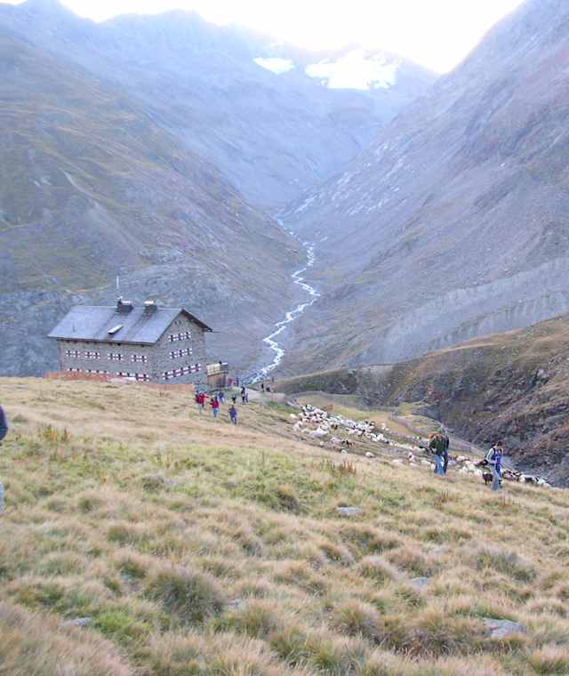 Schafe und Hirten bei der Martin-Busch-Hütte im Ötztal