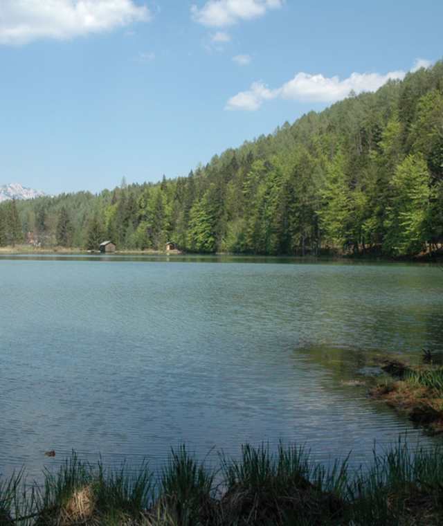 Der schöne Schafferteich