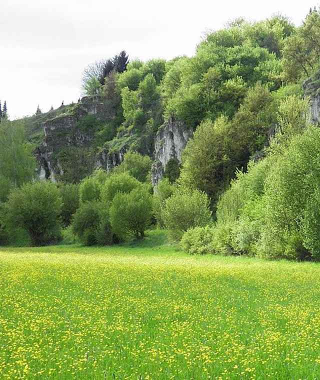 Felsengruppe am Schambachtalweg