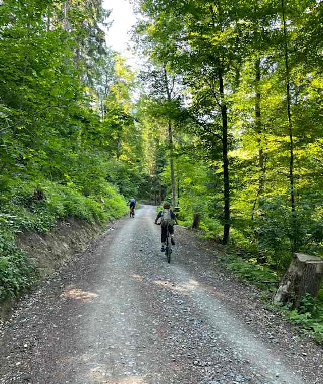 Auffahrt auf dem Schlittelweg