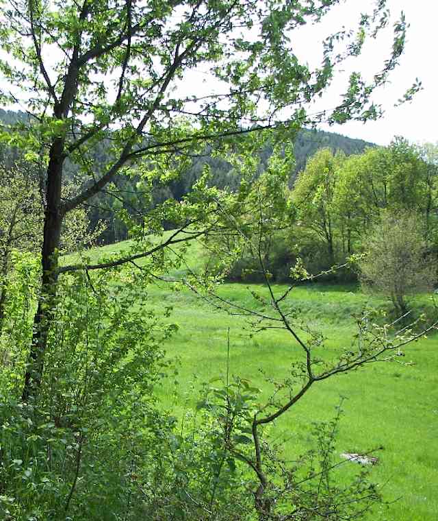 Stadel