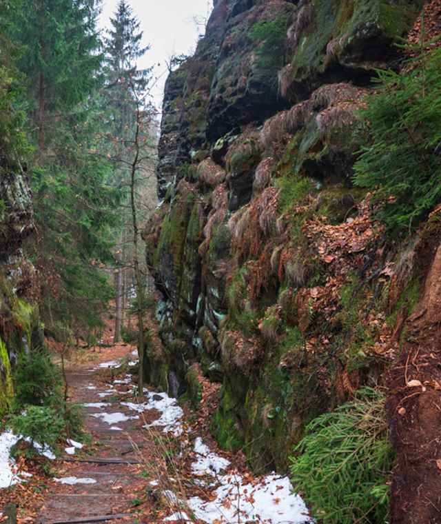 Wurzelweg