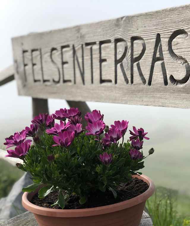 Schneealpenhaus - Terrasse