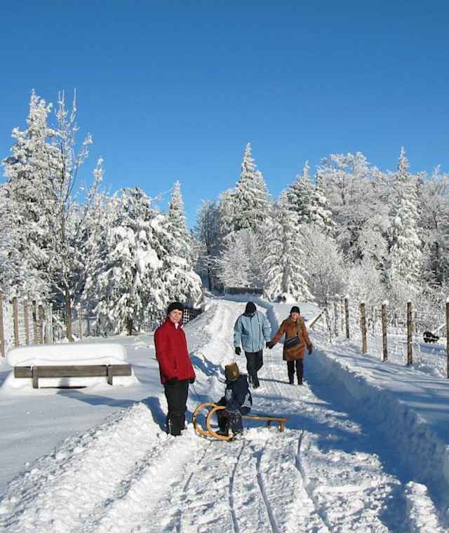 Auch die Rodel kann man auf der Schneebergblickrunde mitnehmen.