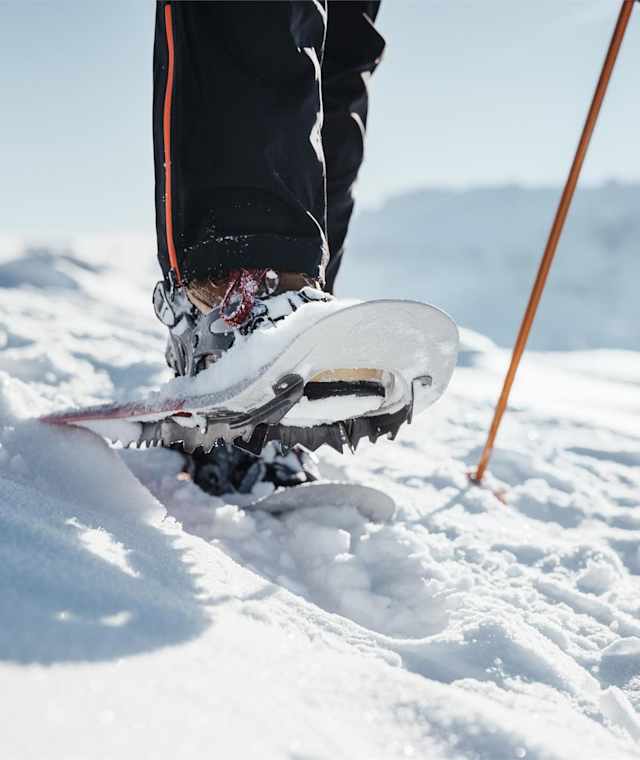 Mit den Schneeschuhen unterwegs