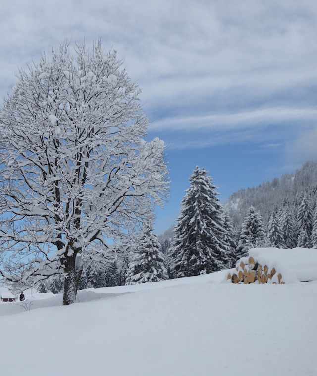 Traumhafte Winterlandschaft