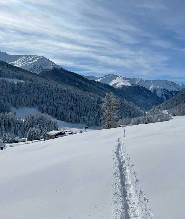 Schöne Landschaft am Tinzenblick-Trail