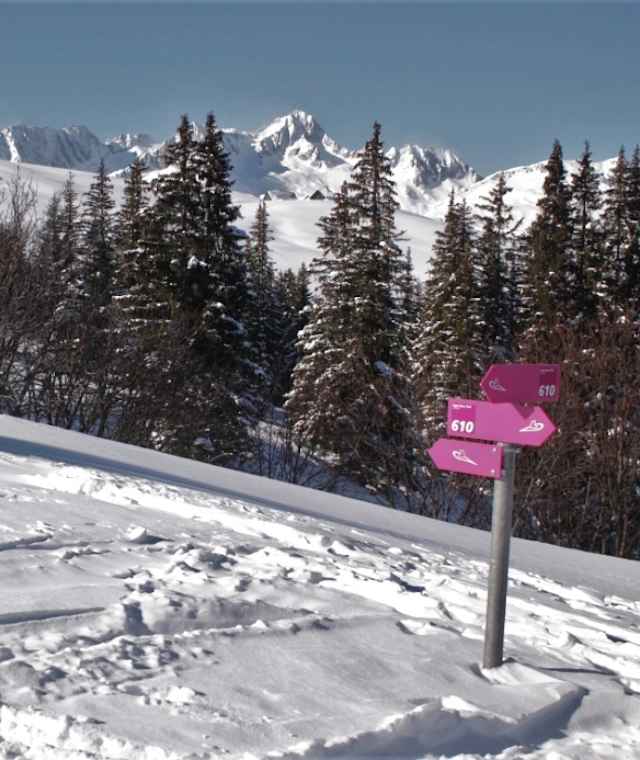 Abzweigung von der Alp Pazzola