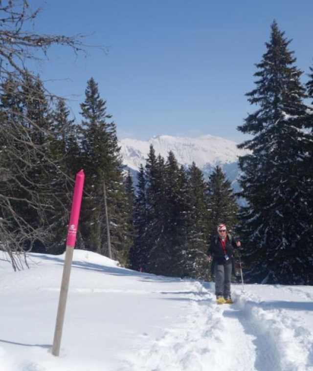 Aufstieg nach dem Spundiswald
