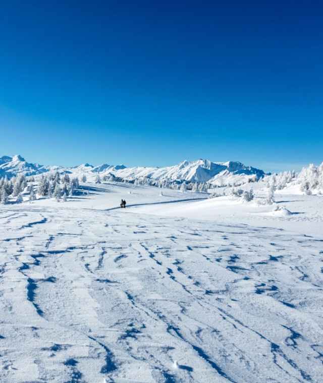 Herrliche Winterstimmung auf der Hochebene Dreibündenstein